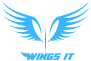 Wings IT